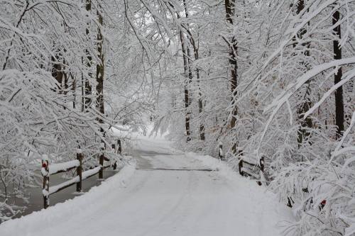 A snow-covered path winds through a forest, with trees blanketed in white snow.