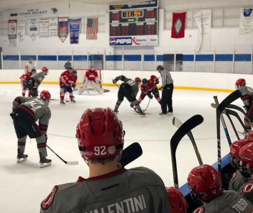 A hockey game in progress, with players in gray and red jerseys facing off at center ice, and a referee overseeing the play.