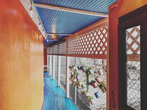 A colorful corridor with orange walls, blue flooring, and hanging plants in pots along a lattice fence.