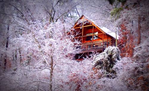 A cozy wooden cabin nestled among snow-covered trees in a winter landscape.