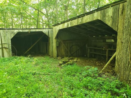 Two rustic wooden structures in a forested area, surrounded by green grass and trees, with open entrances.