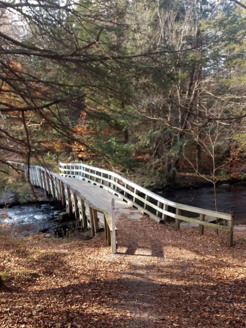 A wooden bridge spans a stream, surrounded by trees with autumn foliage and fallen leaves on the ground.