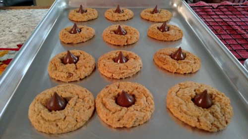 A tray of freshly baked peanut butter cookies topped with chocolate kisses, arranged in neat rows.