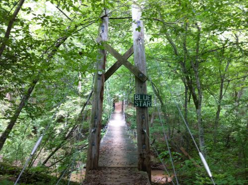 A wooden suspension bridge surrounded by lush green trees, with a sign reading "BLUE STAR" on one of the supports.