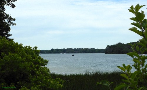 A serene lake view surrounded by greenery, with a small boat in the distance under a cloudy sky.
