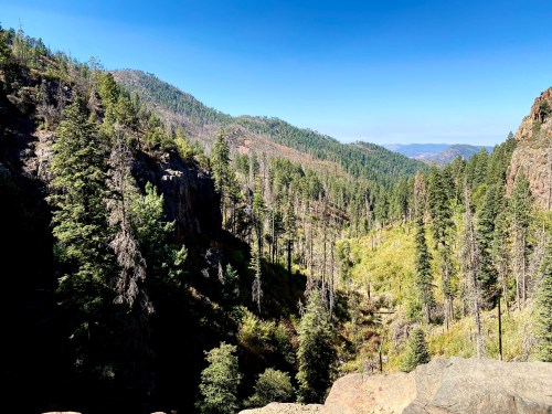 A scenic view of a mountainous landscape with lush green trees and a clear blue sky.
