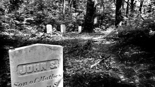 A black-and-white image of a grave marker in a wooded cemetery, surrounded by trees and other gravestones.