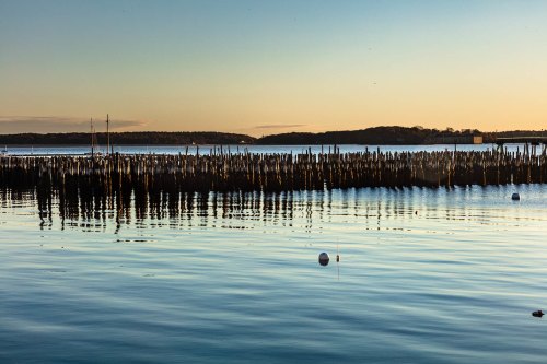 A serene waterfront scene at sunset, featuring wooden posts reflected in calm water and distant hills.