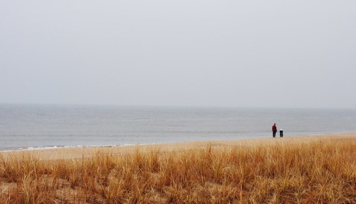 A foggy beach scene with two people walking along the shore, surrounded by tall grass and calm waters.