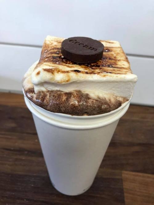 A cup of hot chocolate topped with toasted marshmallow and a chocolate disk.