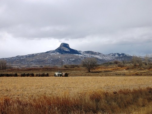 A vast landscape with a snowy mountain in the background, a field of hay bales, and a tractor in the foreground.