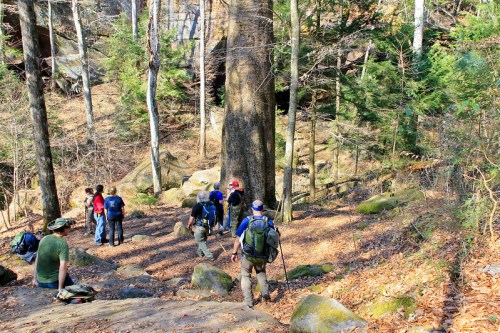 A group of hikers navigates a rocky trail surrounded by trees and boulders in a forested area.