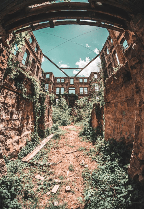 Abandoned building interior overgrown with plants, featuring crumbling walls and an open sky above.