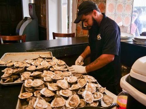 A chef shucking oysters at a restaurant, with trays of oysters in front and a busy kitchen in the background.