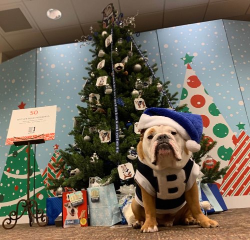 A bulldog in a Santa hat sits in front of a decorated Christmas tree with gifts, festive backdrop, and holiday decorations.