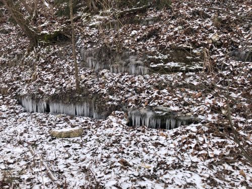 Icicles hang from rocky ledges, surrounded by fallen leaves and a dusting of snow in a winter landscape.