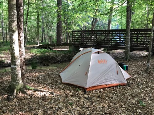 A tent set up in a wooded area near a small creek, with a wooden bridge in the background.