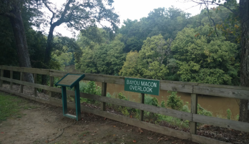 A wooden overlook sign reading "Bayou Macon Overlook" beside a river surrounded by lush green trees.