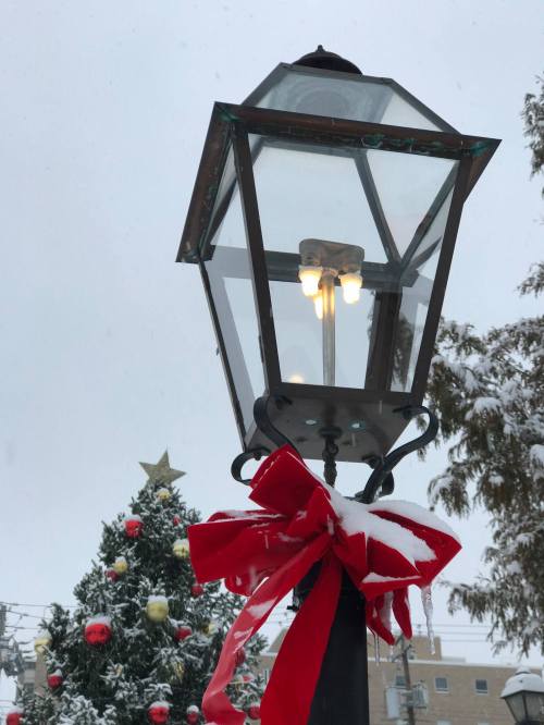 A festive street lamp adorned with a red bow, with a snowy Christmas tree in the background.