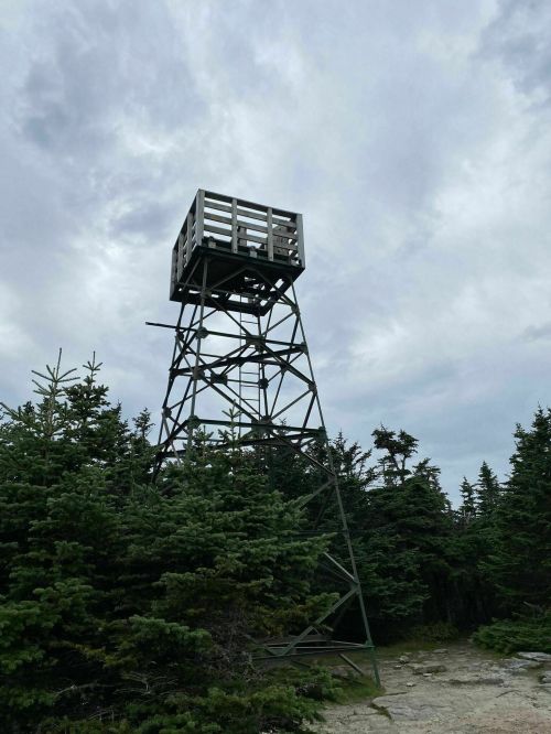 A tall observation tower stands among dense evergreen trees under a cloudy sky.