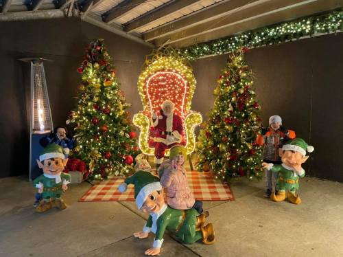 Children pose with festive decorations and Santa in a cozy holiday setting, surrounded by Christmas trees and lights.