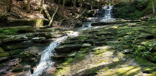 A serene forest scene featuring a gentle waterfall cascading over moss-covered rocks. Sunlight filters through the trees.