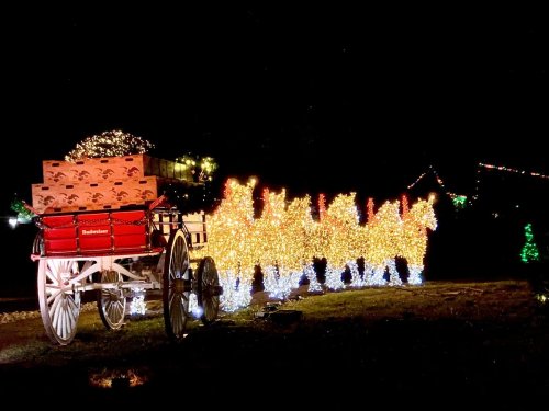 A festive display featuring a lit-up horse-drawn carriage with colorful lights and gift boxes at night.