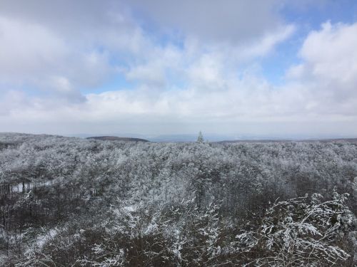 A snowy landscape with trees covered in frost under a cloudy sky, showcasing a serene winter scene.