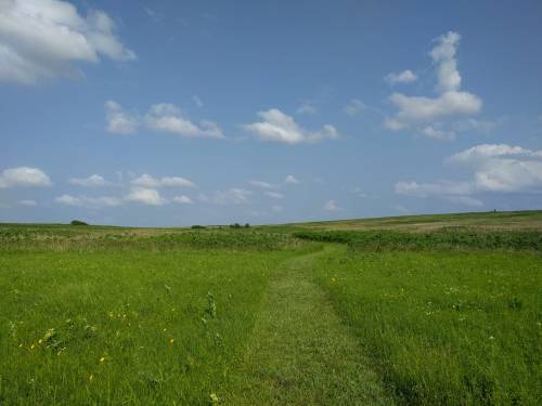 A grassy path leads through a wide, open field under a blue sky with fluffy white clouds.