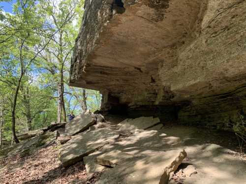 A rocky overhang in a wooded area, with scattered stones and greenery surrounding the base.