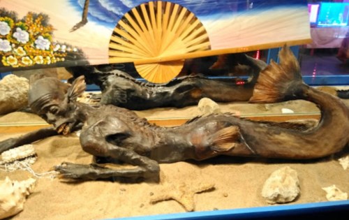 A display featuring a mermaid-like creature, with a fish tail and humanoid features, set in a sandy environment.