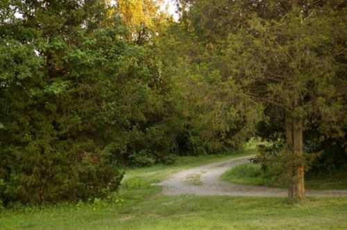 A winding dirt path surrounded by lush green trees and grass in a serene outdoor setting.