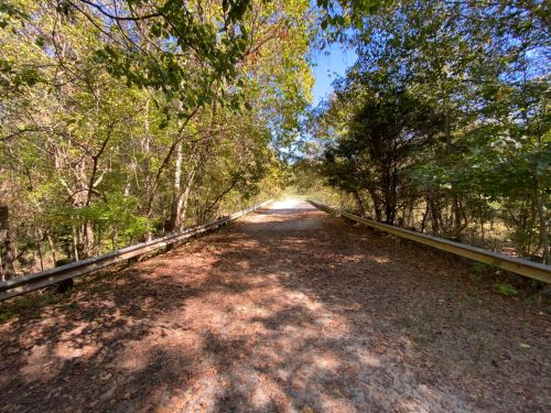 A dirt path surrounded by trees, leading into a bright, sunny distance with guardrails on either side.