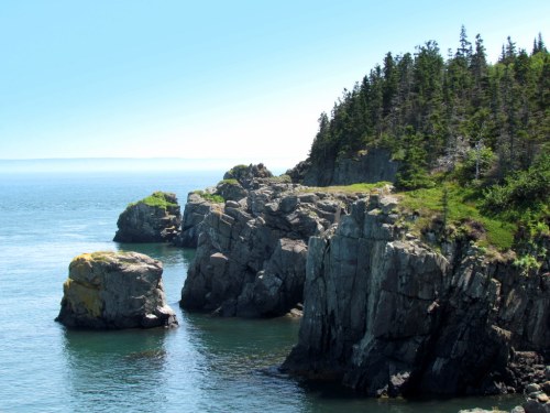 Rocky coastline with lush greenery and calm blue waters under a clear sky.