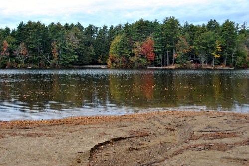 A serene lake surrounded by trees with autumn foliage, reflecting the colorful leaves on the water's surface.