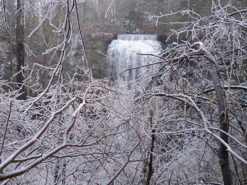 A frozen waterfall surrounded by icy branches and trees in a winter landscape.