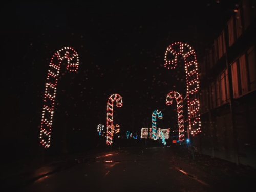 Colorful candy cane lights line a dark road, creating a festive holiday atmosphere.