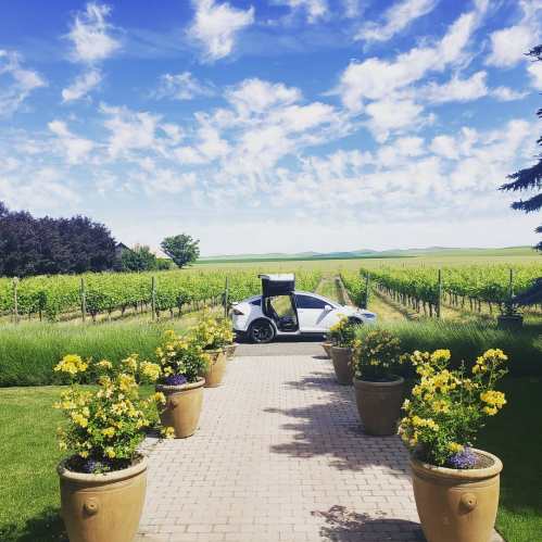 A white car with its door open parked near vibrant flower pots, overlooking a lush vineyard under a blue sky.