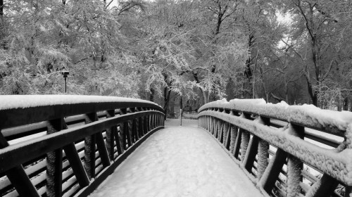 A snow-covered bridge leads through a winter landscape of trees blanketed in white.