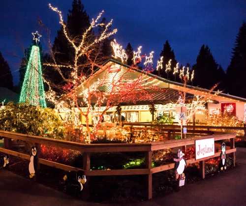 A festive building decorated with colorful lights, a Christmas tree, and penguin figures in a winter evening setting.