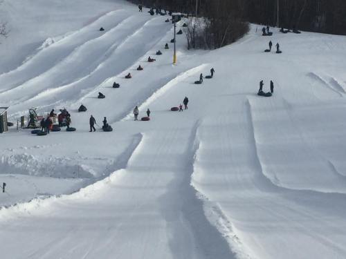 People sledding down snowy hills, with tracks in the snow and trees in the background.