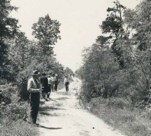 A black-and-white photo of people walking along a dirt path surrounded by trees and vegetation.
