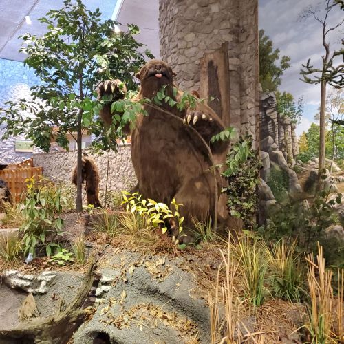 A large, furry creature stands behind a tree in a naturalistic setting, surrounded by rocks and greenery.