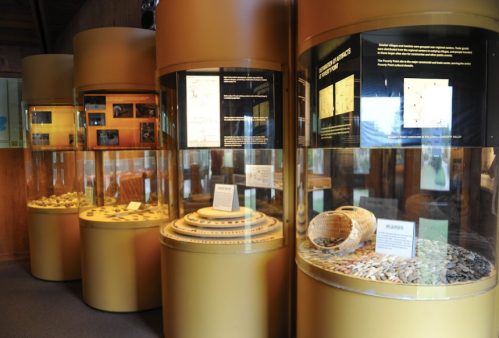 Display of artifacts in glass cases at a museum, featuring informational panels and various historical items.