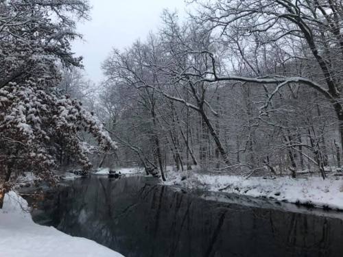 A serene winter scene with a snow-covered riverbank and trees, reflecting in the calm water.