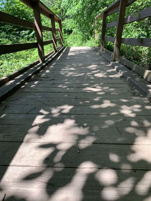A wooden bridge surrounded by greenery, with dappled sunlight casting shadows on the path.