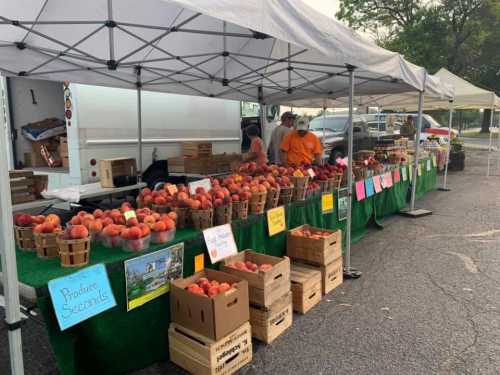 A farmers market stall with baskets of fresh peaches and colorful signs, under a canopy in a parking lot.