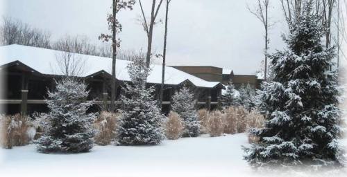 A snowy landscape featuring evergreen trees and a building with a sloped roof, surrounded by winter scenery.