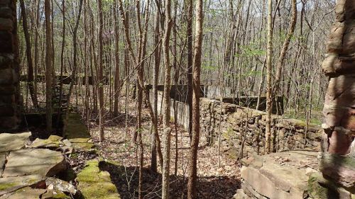 Overgrown ruins in a forest, with stone walls partially hidden by trees and fallen leaves.