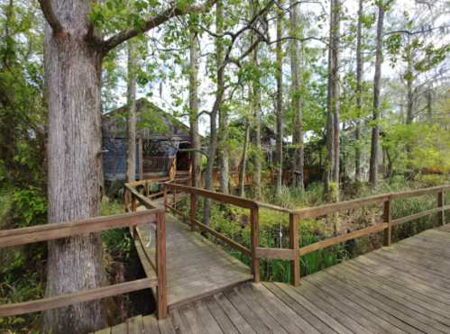 A wooden walkway leads through trees to a rustic building surrounded by lush greenery.